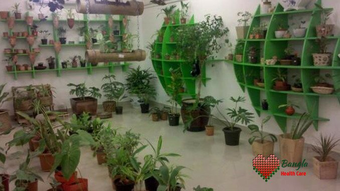 পরিবারের সুস্থতায় ঘরেই রাখুন ঔষধি গাছ