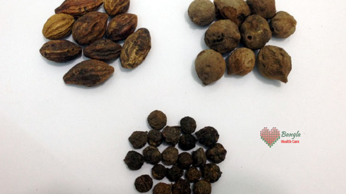 স্বাস্থ্য ও সৌন্দর্য রক্ষায় ত্রিফলা