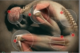 আমাদের শরীরের প্রয়োজনীয় মিনারেলগুলোর মধ্যে বেশি দরকার ক্যালসিয়াম