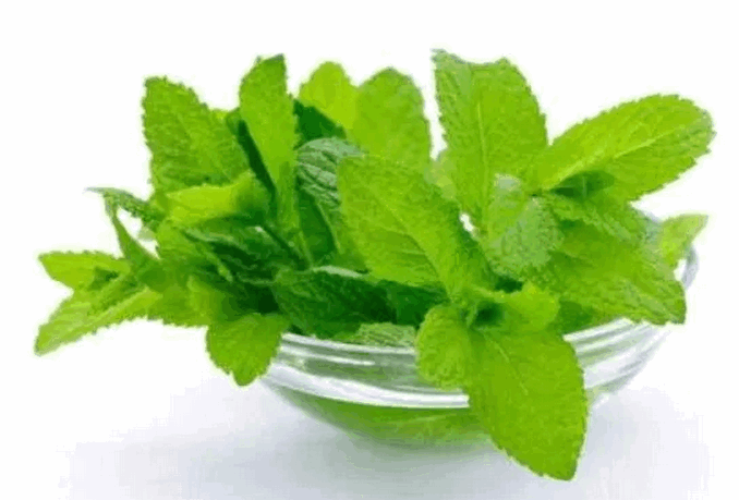 জেনেনিন কিছু ভেষজ উদ্ভিদের ঔষধী গুন জেনেনিন কিছু ভেষজ উদ্ভিদের ঔষধী গুন