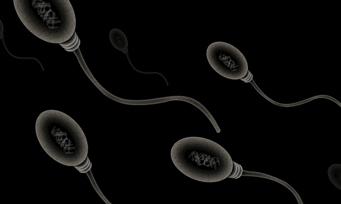 পুরুষের শুক্রাণু কমে যাচ্ছে, মানুষ বিলুপ্ত হয়ে যেতে পারে