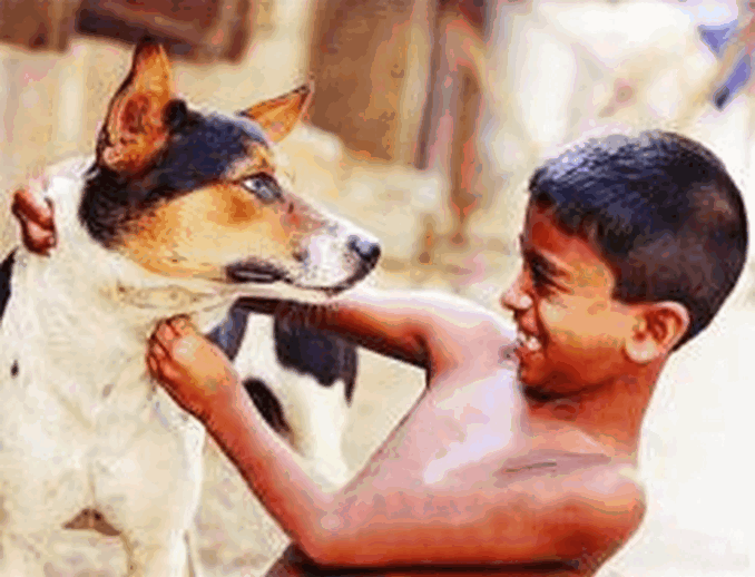পোষা কুকুরের সঙ্গে খেলাধুলা করলে শিশুদের হাঁপানির ঝুঁকি কম