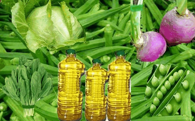 যে ৭টি সবজি আপনার উচ্চতা বৃদ্ধি করবে