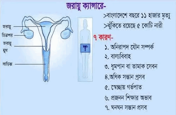 সচেতন হন স্তন ও জরায়ুর ক্যান্সারের বিষয়ে