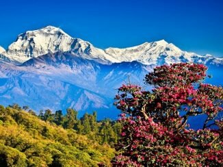 হিমালয় পর্বত দেখার জন্য পর্যটকদের ভীড় জমে পঞ্চগড় জেলায়!