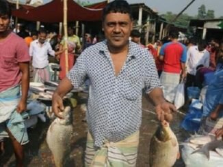 মাছ কেনায় কখনো ঠকবেন না, যদি এই ট্রিক্স জানা থাকে