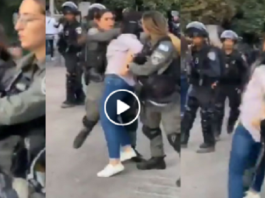 যুদ্ধবিরতির নাম করে যা করছে ইসরাইল!